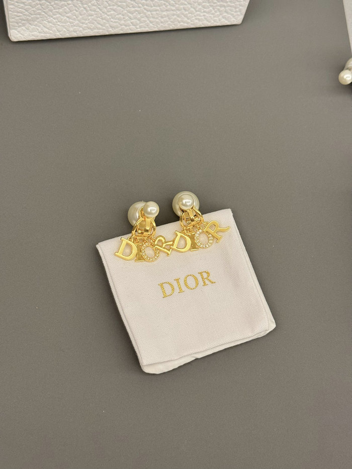 Dior Earrings DE60309