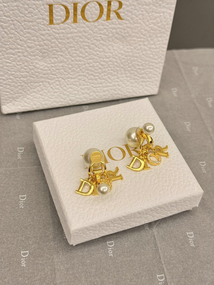 Dior Earrings DE60309