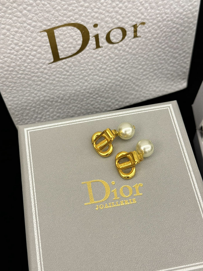 Dior Earrings DE60311