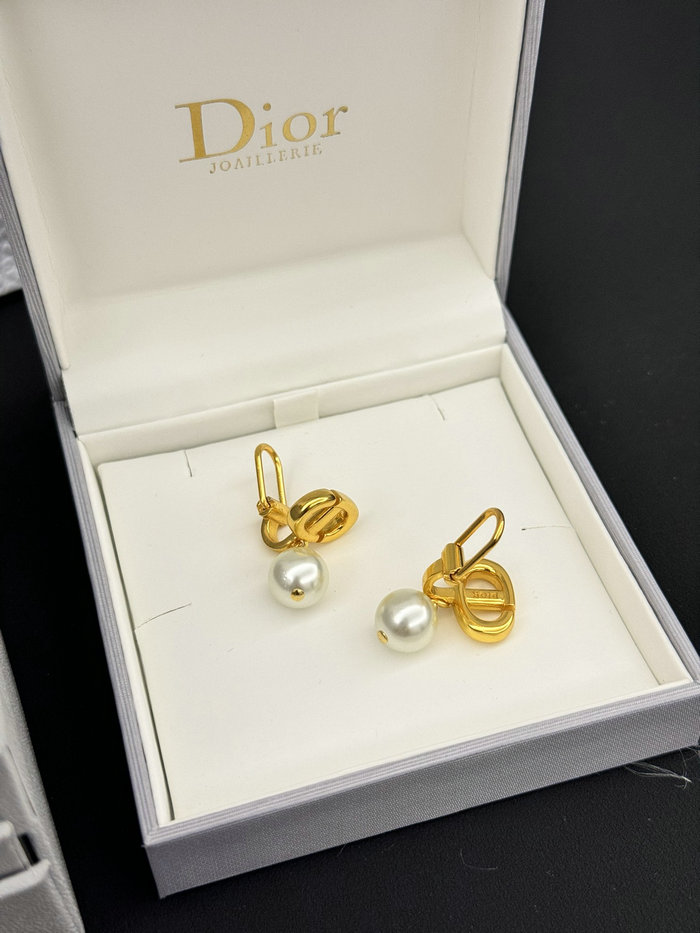 Dior Earrings DE60311