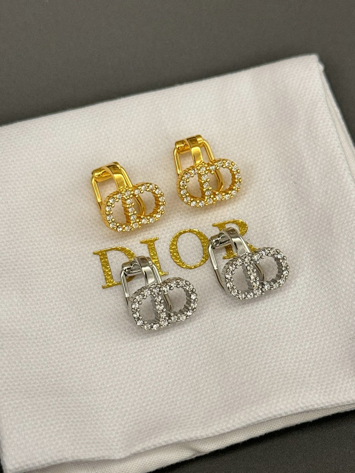 Dior Earrings DE60312