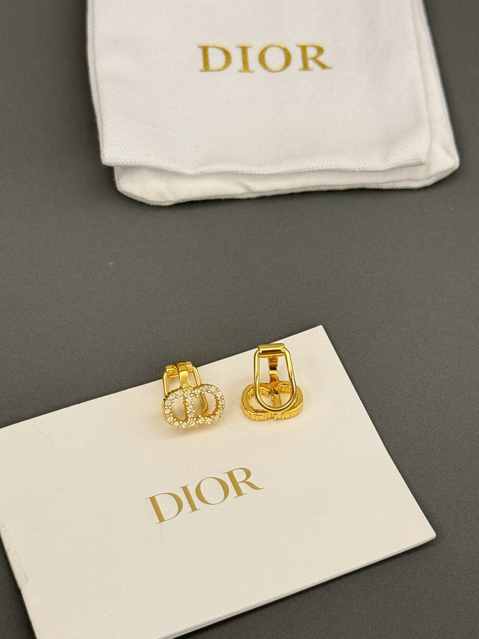 Dior Earrings DE60312