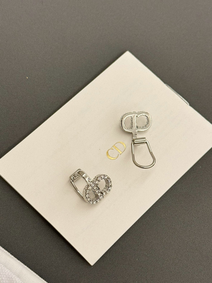 Dior Earrings DE60312