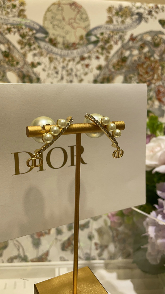 Dior Earrings DE60313