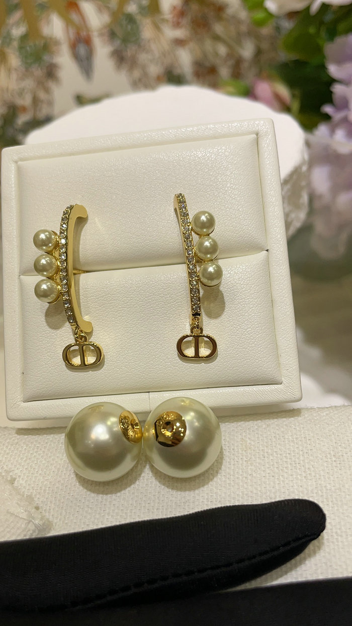 Dior Earrings DE60313