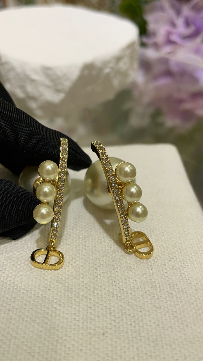 Dior Earrings DE60313