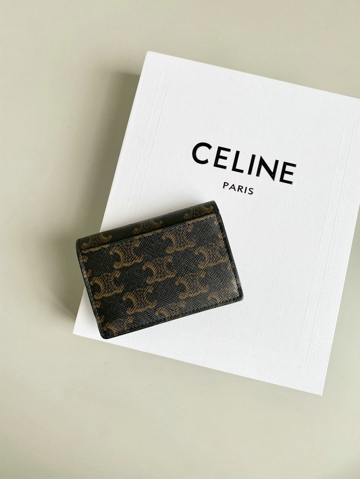 Celine Wallet CW62401