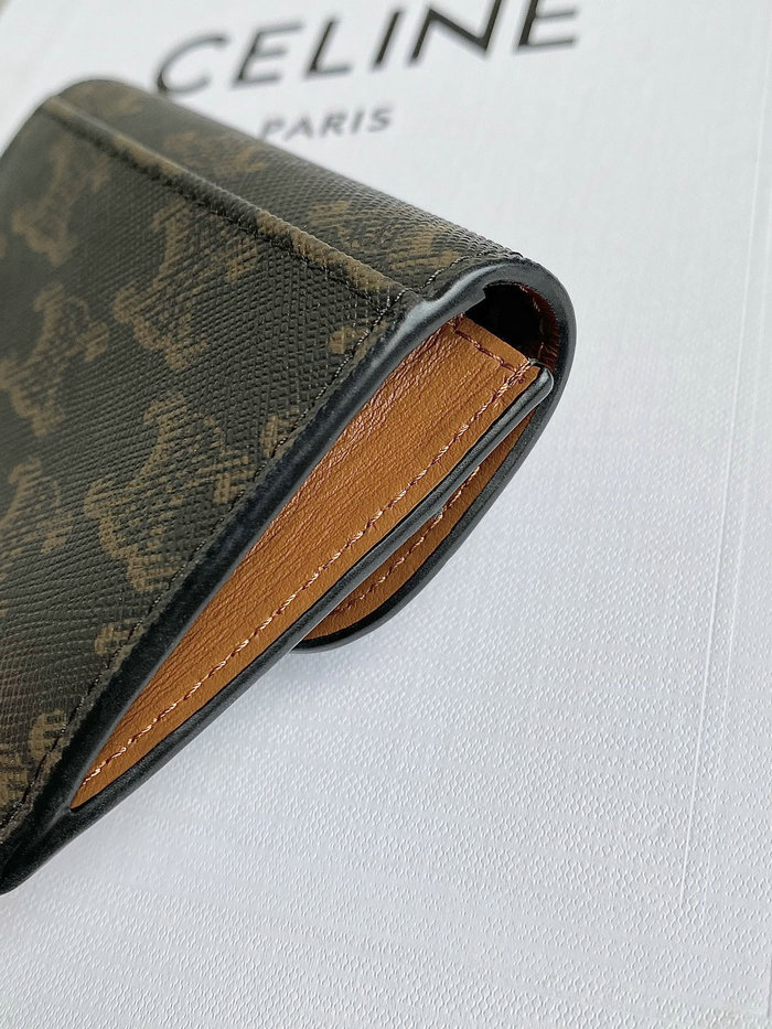 Celine Wallet CW62401