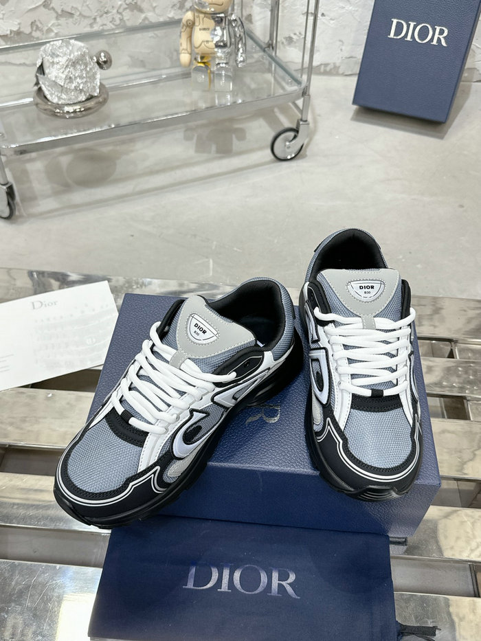 Dior B30 Sneakers SDS62810