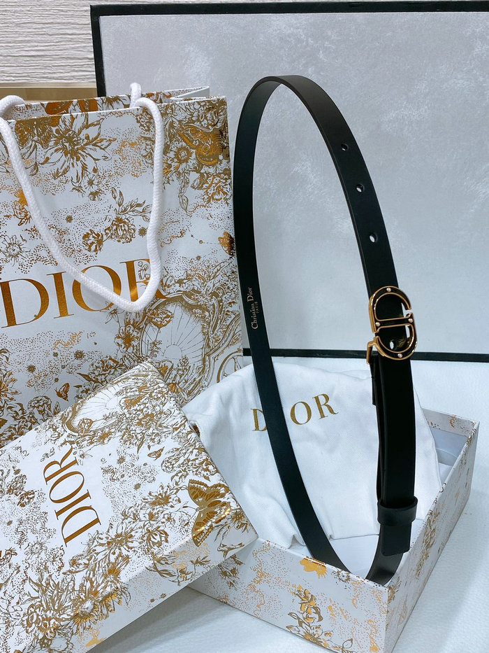 Dior Belt WBD62801