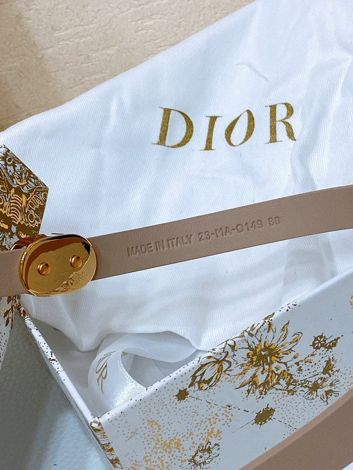 Dior Belt WBD62802