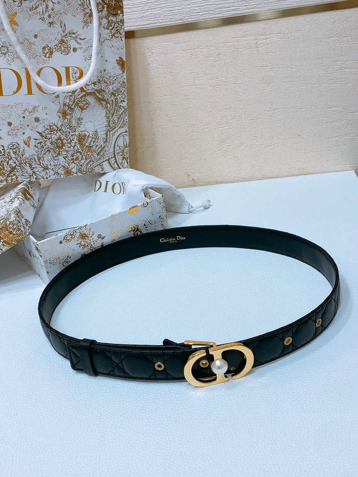 Dior Belt WBD62804