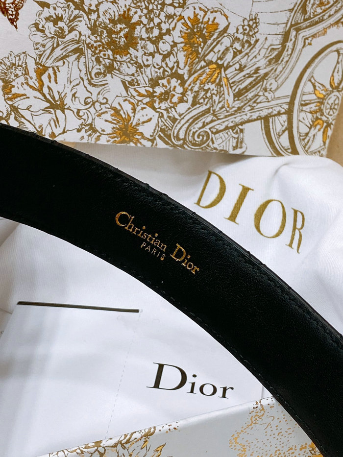 Dior Belt WBD62804