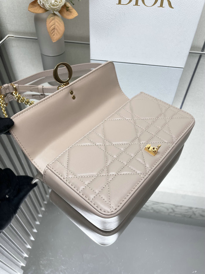 Dior Miss Daisy Mini Bag D3300 Pink