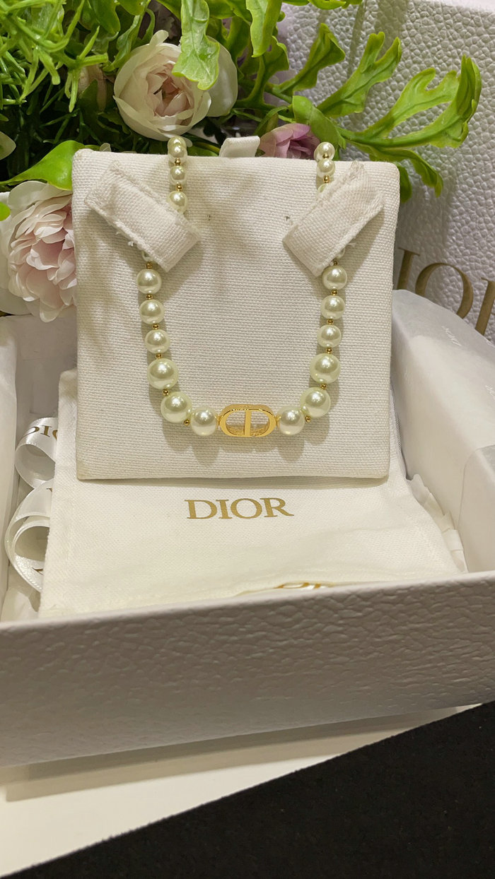 Dior Necklace DN62602