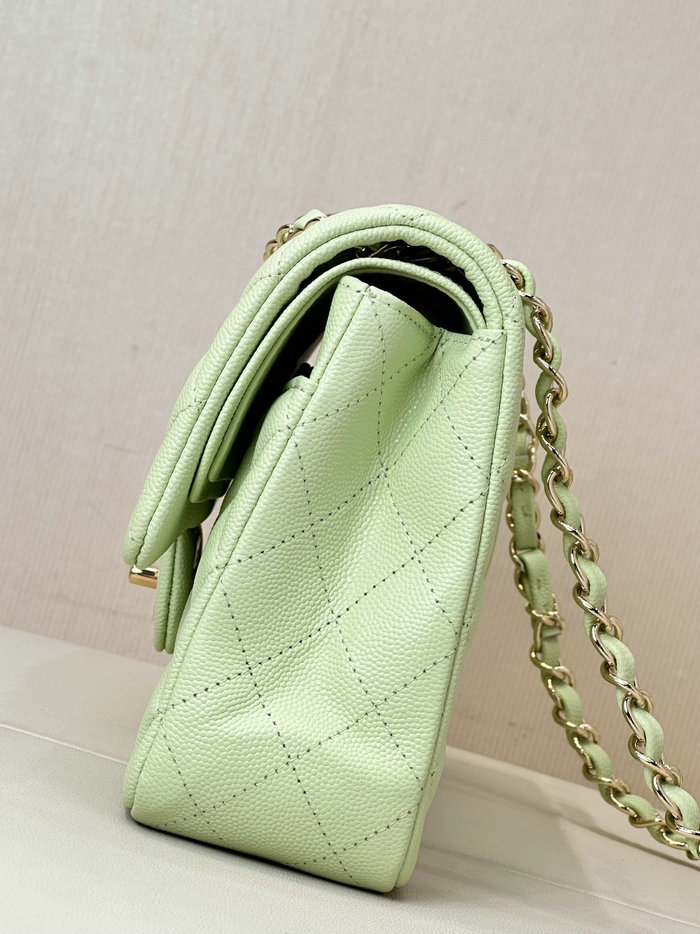 Medium Chanel Grained Calfskin Flap Bag A01112 Light Green