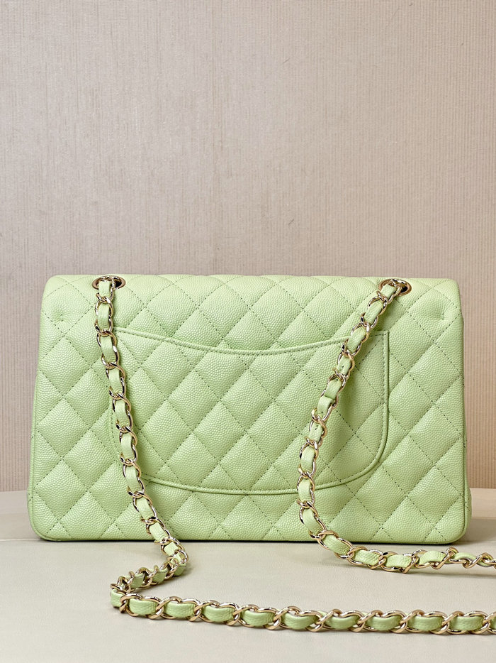 Medium Chanel Grained Calfskin Flap Bag A01112 Light Green