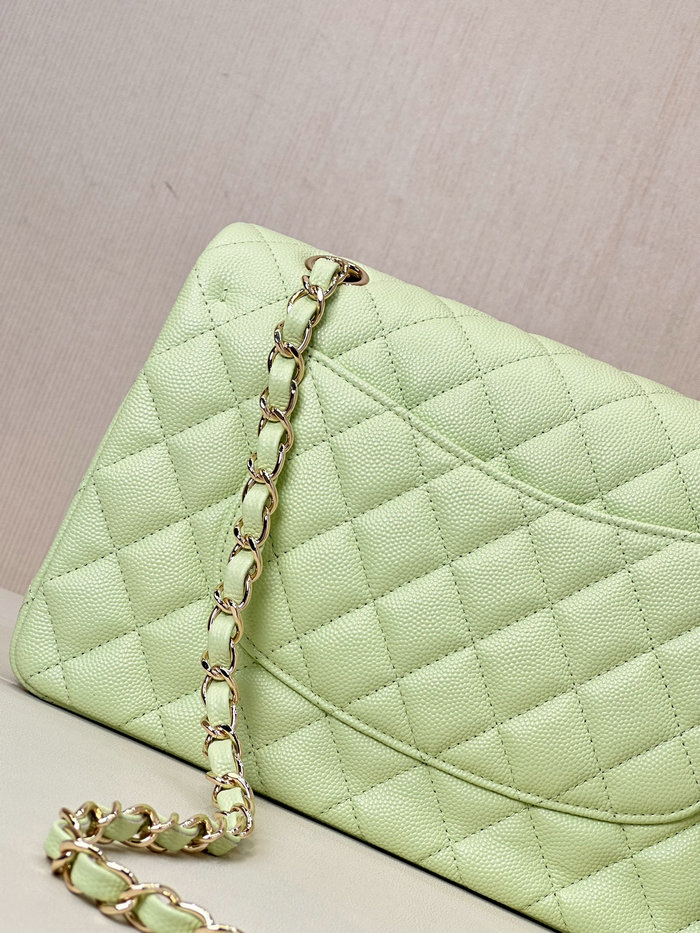 Medium Chanel Grained Calfskin Flap Bag A01112 Light Green