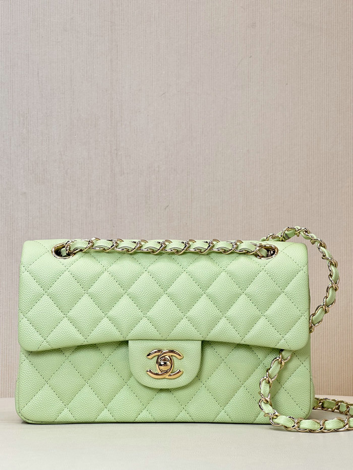 Small Chanel Grained Calfskin Flap Bag A01117 Light Green