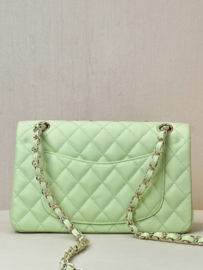 Small Chanel Grained Calfskin Flap Bag A01117 Light Green