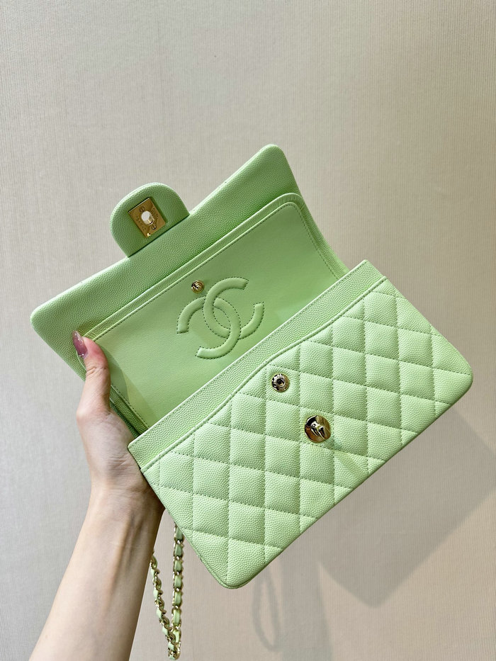 Small Chanel Grained Calfskin Flap Bag A01117 Mint Green