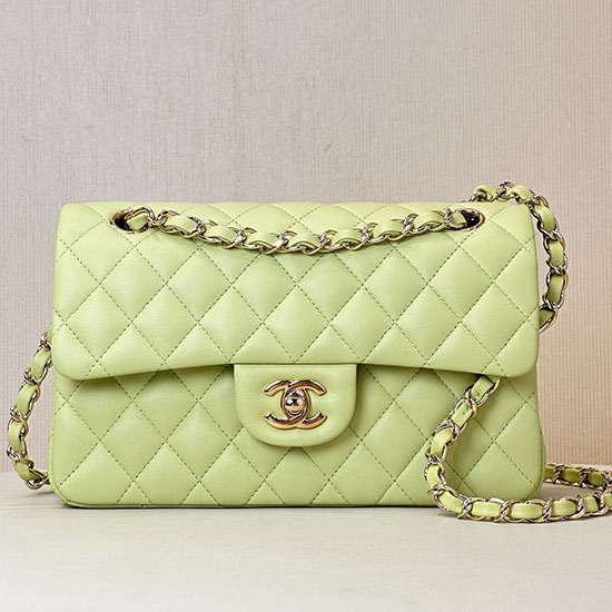 Small Chanel Lambskin Flap Bag A01117 Green