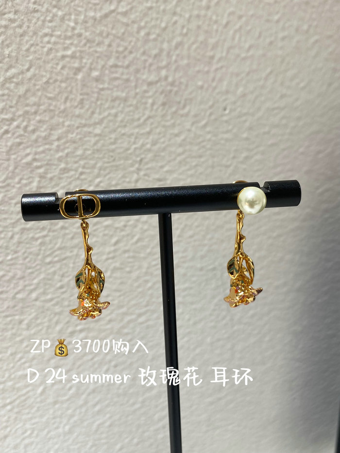 Dior Earrings DE71801