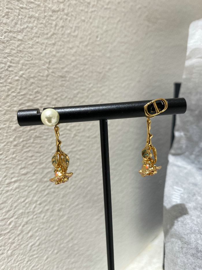 Dior Earrings DE71801