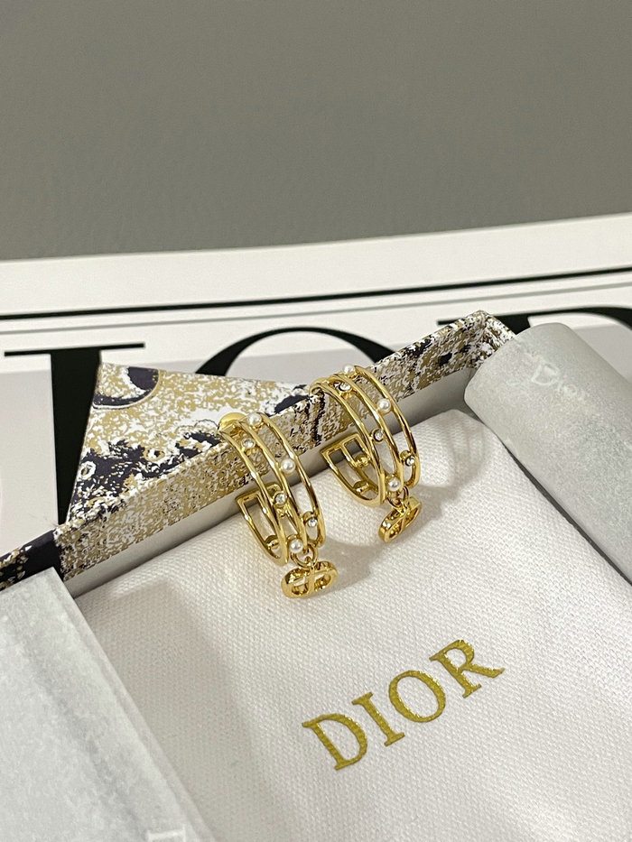 Dior Earrings DE71802