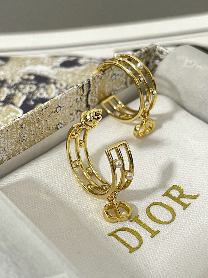 Dior Earrings DE71802