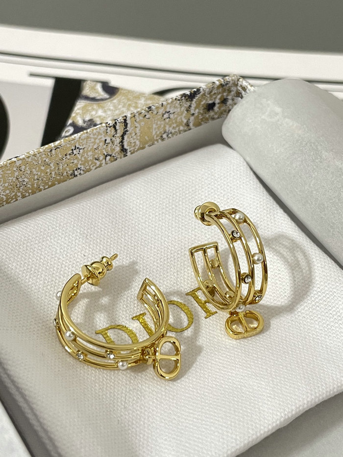 Dior Earrings DE71802