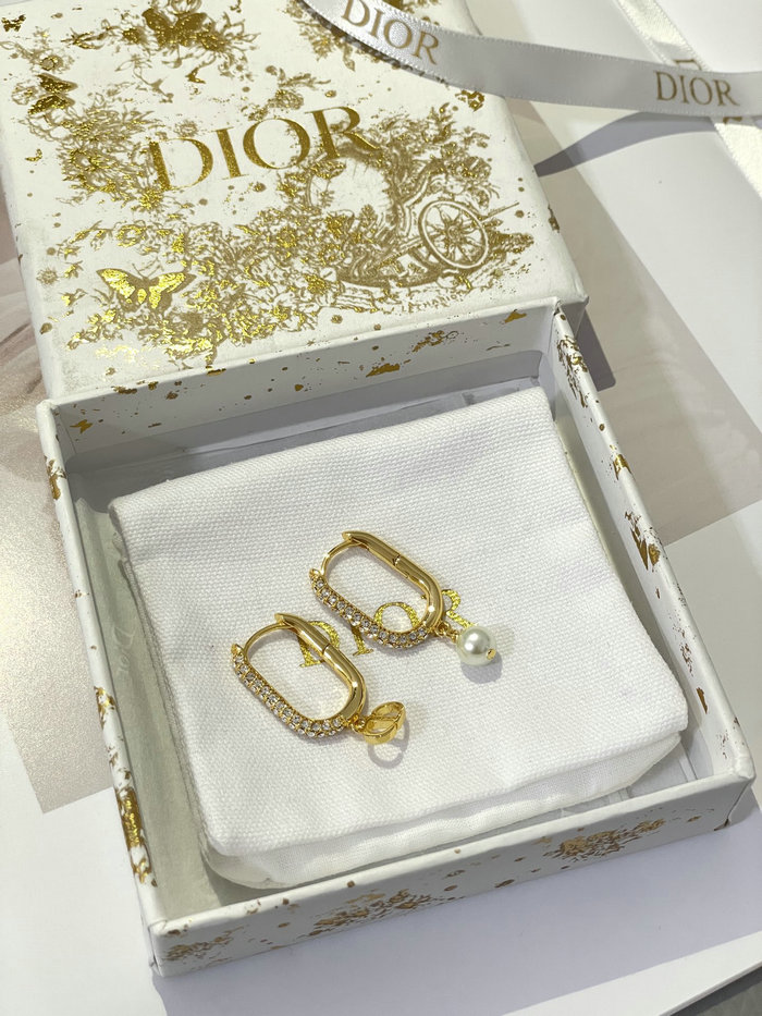 Dior Earrings DE71803