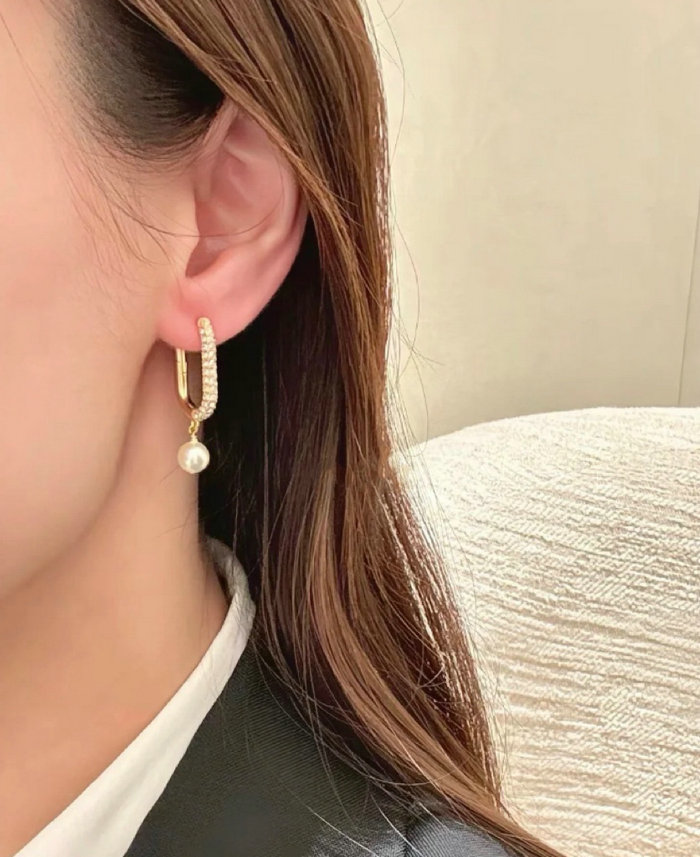 Dior Earrings DE71803