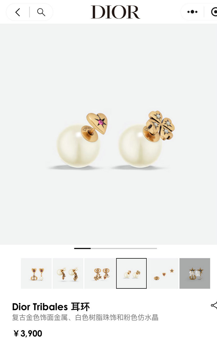 Dior Earrings DE71805