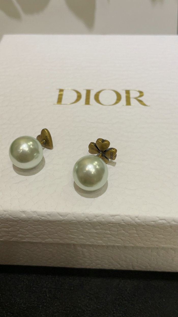 Dior Earrings DE71805