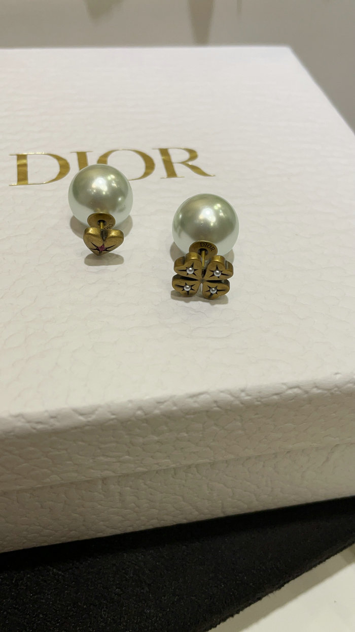 Dior Earrings DE71805