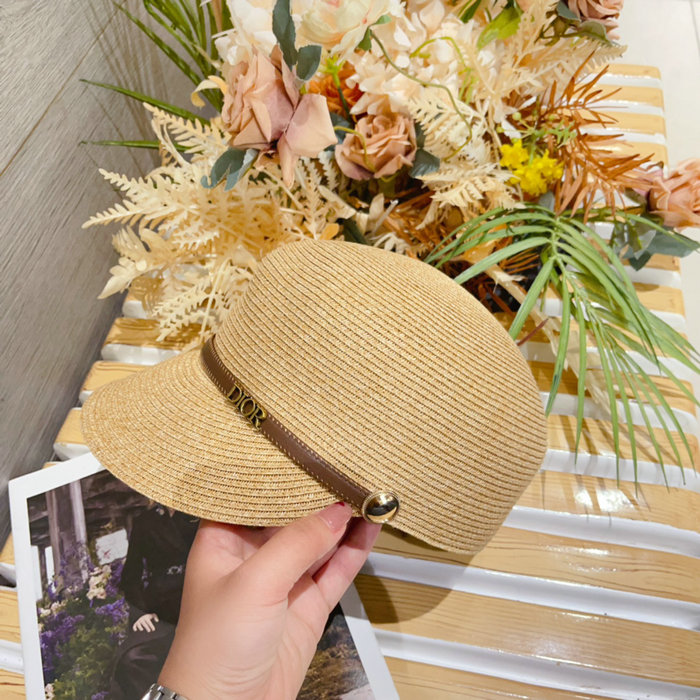 Dior Hat WHD71602