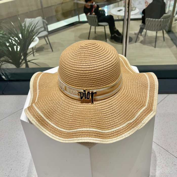 Dior Hat WHD71608