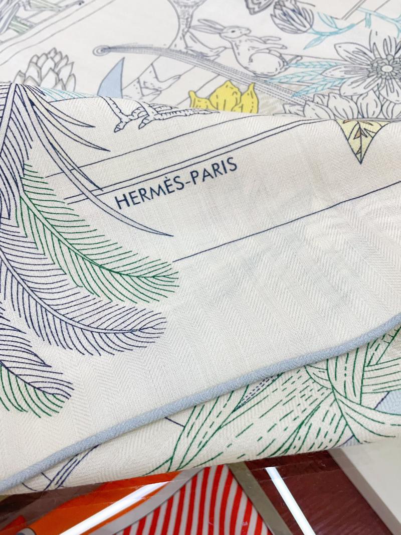 Hermes Scarf SHS90109