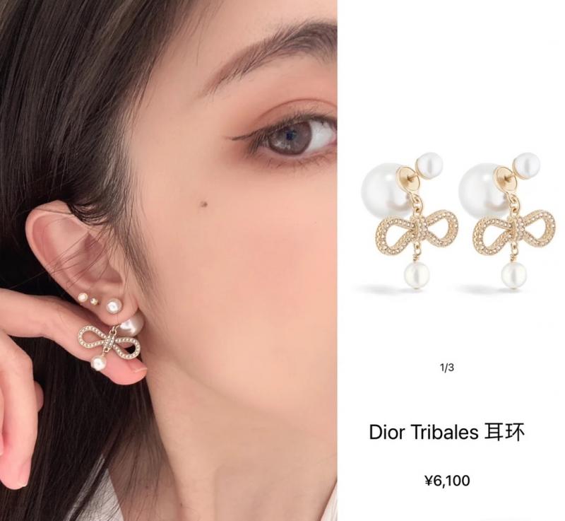 Dior Earrings DE120701